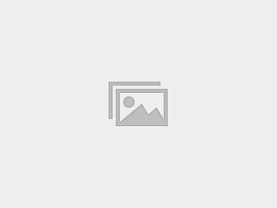 Certified AI Security Architect (CASA) Certification Course